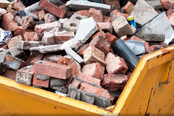 Professional Debris Removal Newport, NC Professional Debris Removal Newport, NC